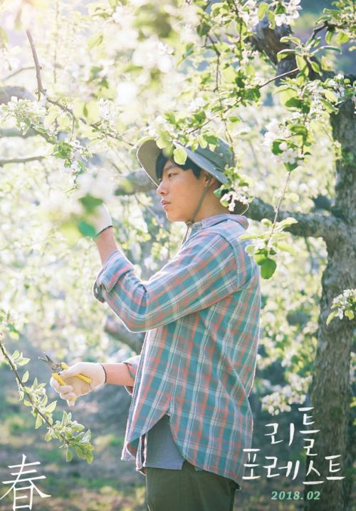 Little Forest: Tình bạn tuổi thanh xuân yên bình qua 4 mùa của Kim Tae Ri (10)