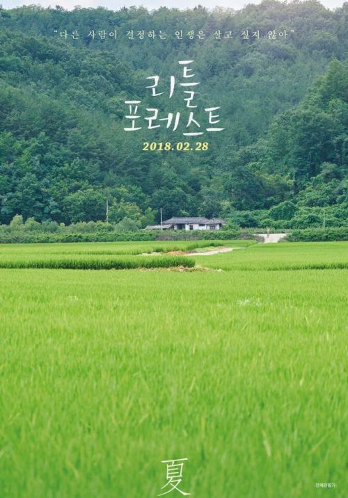 Little Forest: Tình bạn tuổi thanh xuân yên bình qua 4 mùa của Kim Tae Ri (2)