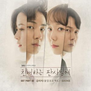 7 bộ phim Hàn Quốc hay nhất về đề tài anh (chị) em sinh đôi - 2